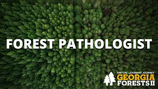 Forest Pathologist | Forestry Careers