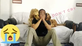 My Dogs Reaction To Me Crying -PRANK(BEST REACTION EVER)