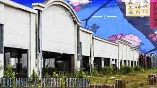 Dead Malls & Internet Nostalgia | Influence Influenza