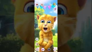 Talking Ginger cat 2,  talking tom, Tom Gold Run,