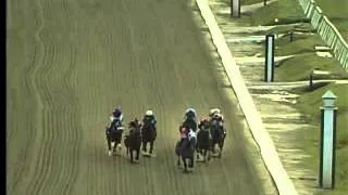 Laurel Park 11/14/14 race 8