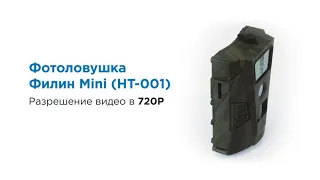 Обзор на фотоловушку Филин Mini (HT-001)