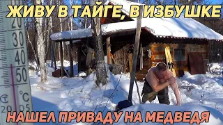 С 23 ФЕВРАЛЯ! ⬇ ДОМИК В ТАЙГЕ. ЖИВУ В ИЗБУШКЕ. ПРИВАДА НА МЕДВЕДЯ,  СИДЬБА, БАНЯ. РИС С ЛОСЯТИНОЙ.