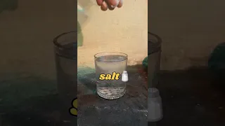 Simple Science Experiments Glowing Bulb From Salt Water part 2 #shorts #viral #trending #experiment