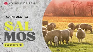 Salmo 123. NO SOLO DE PAN... Vivirá el hombre sino de toda palabra que sale de la boca de Dios.