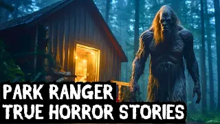 13 TRUE Disturbing Park Ranger Horror Stories Told In The Rain (Dogman,Sasquatch,Wendigo,Creepy)