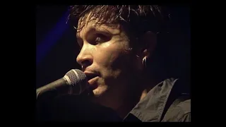 2001- Noir Désir aux Vieilles Charrues - Tostaky et Lazy Live