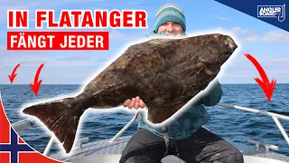 In Flatanger fängt jeder! Angeln in Norwegen auf Heilbutt, Dorsch, Pollack, Leng und Seelachs