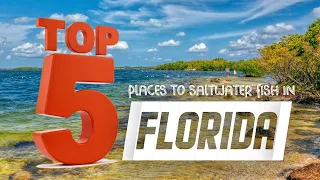 Top 5 Saltwater Fishing spots in Florida