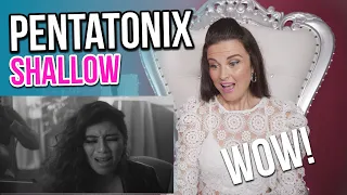 Vocal Coach Reacts to Shallow - Pentatonix