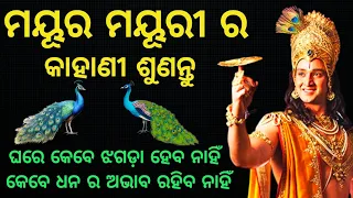 ମୟୁର ମୟୂରୀ ର ଏହି କାହାଣୀ ଶୁଣିଲେ ଘରେ କେବେ କଳି ହେବ ନାହିଁ | Krishnavani | @CHINTANATVODIA