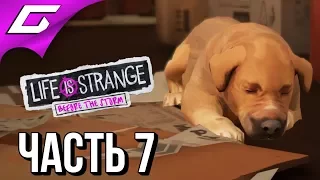 LIFE is STRANGE 2: Before the Storm Ep.2 ➤ Прохождение #7 ➤ ТАЙНАЯ ОПЕРАЦИЯ