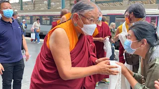 Wel come to Paris His Holiness Sakya Goma Rinpoche   #tibetan #tibetanvlogger #tibetanyoutuber