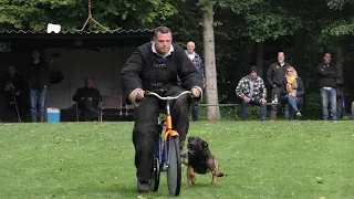 KNPV Keuring Hattemerbroek 27 -  09 -  2020  Rijwielstellen