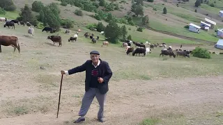 yüreklere işleyen türküler - dertli köy türküleri " çok özel köy türküleri✔️