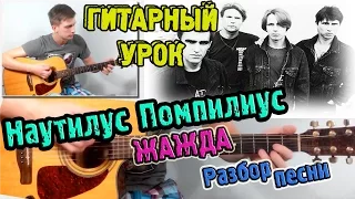 Наутилус Помпилиус - Жажда ♫ РАЗБОР,АККОРДЫ♫ Уроки игры на гитаре