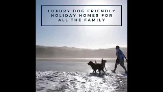 Dogs Friendly Holidays Cornwall - Near Padstow North Cornwall
