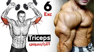 How To Build Your Triceps workout Fast (6 Effective Exercises)