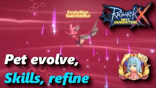 Pet system part 2 - advancing, evolving, refining, pet skills | rox | Ragnarok X: Next Generation