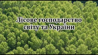 Лісове господарство світу та України (з поясненням)