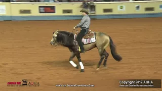 Wimpys Little Nite AQHA World Champion Sr Reining