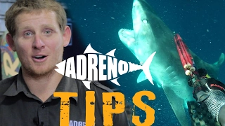 Spearfishing with Sharks (Tigers, White Pointers, Bullsharks)  | ADRENO