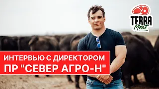 Интервью с директором "Север АГРО-Н" #4 І Цикл видео о производстве мраморной говядины