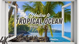 8 HRS Tropical Ocean View + Birds Chirping & Ocean Sounds - 4K Window to Hawaii Scenery - Episode #2