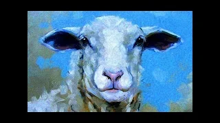 Pink Floyd - Sheep (180 Gram Vinyl Rip) HQ