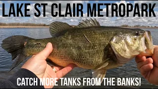 Lake St Clair Metropark Bass Fishing From The Bank | How To Catch Bigger Prespawn Bass!