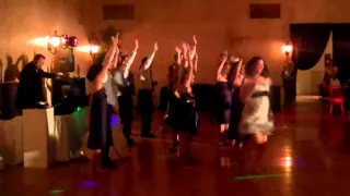 Wedding Flash Mob (Party Rock Anthem)