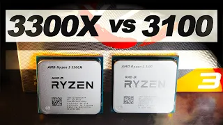 WHICH one is BETTER for YOU? -- AMD Ryzen 3 3300X vs 3100 (+Overclocking)
