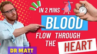 Blood Flow Through The Heart | In 2 mins!