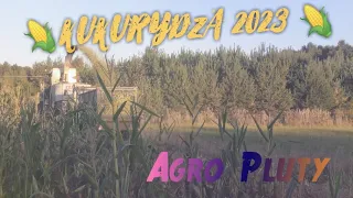 🔥Ursus w rowie??🔥Ogień w Szopie!🔥Koszenie Kukurydzy na Kiszonkę 2023 na PLUTACH!🔥