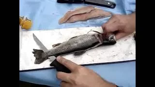 How to Fillet a Trout - quick lesson