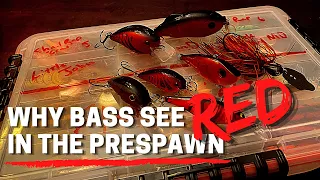 Why Bass See RED in the Prespawn! (Pro Tip to Help YOU Catch MORE and BIGGER BASS!)