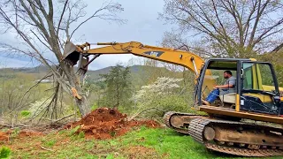 Take Down a Big Trees with Excavator