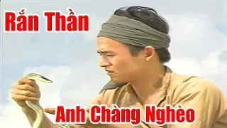 Anh Chàng Nghèo Được Rắn Thần Cưu Mang - Phim Cổ Tích Việt Nam Ngày Xưa, Chuyện Cổ Tích Xưa