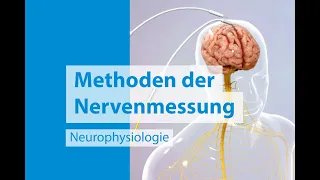 Neurophysiologie: Messungen des Nervensystems