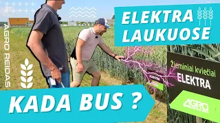 KADA BUS "ELEKTRA" LAUKUOSE ? || AGRO REIDAS # 56