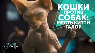 Кошки против собак: Месть Китти Галор - Фильм. Бесплатно на Megogo.net новые фильмы. Трейлер