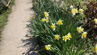 Оптимальное время для старта вывода маток