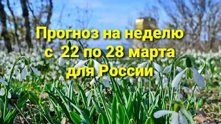 16+ Прогноз на неделю с 22 по 28 марта для России.