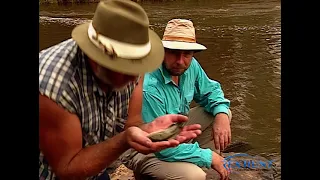 Yarra River Victoria - Murray Cod