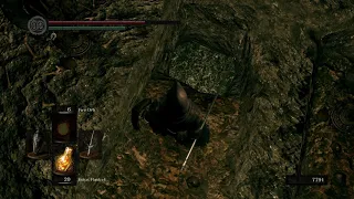Dark Souls - How to get out of the catacombs