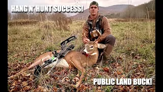 New York Public Land Bow Hunting- Hang N' Hunt Success