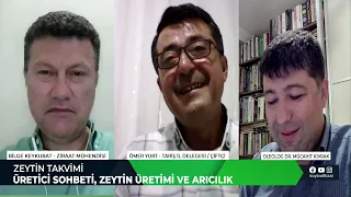 ÜRETİCİ SOHBETİ, ZEYTİN ÜRETİMİ VE ARICILIK | ZEYTİN TAKVİMİ