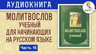 Чин пения 12 псалмов. Молитвослов учебный для начинающих. На современном русском языке. Часть 16.