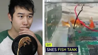 IS THIS A GOOD FISH TANK? | Fish Tank Review 101