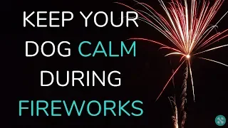 How To Keep Your Dog Calm During Fireworks